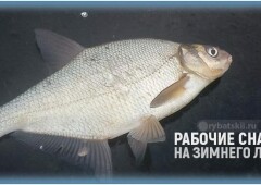 Подлёдная рыбалка зимой на леща с рабочими снастями