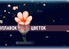 Раскрывающиеся поплавки для зимней рыбалки с лепестками и их преимущества