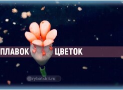 Раскрывающиеся поплавки для зимней рыбалки с лепестками и их преимущества