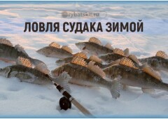 Зимняя рыбалка на судака со льда в разные месяцы