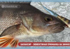 Как выбрать балансиры на окуня зимой и научиться ловить