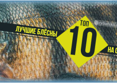 Топ самых уловистых блесен для рыбалки на окуня спиннингом