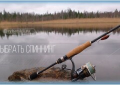 Какой хороший спиннинг купить новичку для лова с берега и лодки