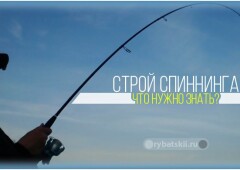 На что влияет строй спиннинговых удилищ и как выбрать нужный