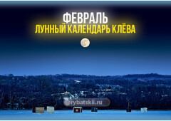 Лунный календарь рыболова на февраль 2022 года и прогноз клёва на каждый день