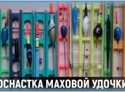 Как выбрать и оснастить маховую удочку без колец