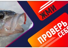 Тест рыбака на знание зимней рыбалки на окуня