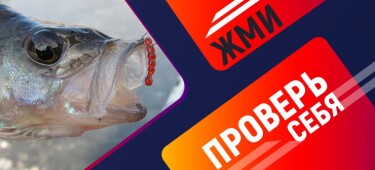 Тест рыбака на знание зимней рыбалки на окуня
