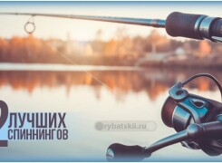 Рейтинг самых лучших и качественных спиннингов из топ фирм