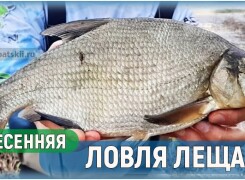 Как ловить леща весной и какие снасти лучше применять