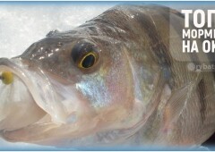 Самые уловистые мормышки на окуня зимой и как их выбрать