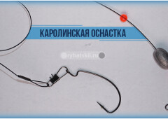 Монтаж каролинской оснастки и эффективные проводки снасти
