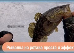 Ловля ротана зимой по первому льду и в другие периоды